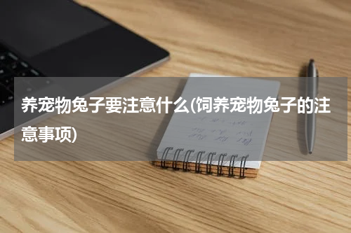 养宠物兔子要注意什么(饲养宠物兔子的注意事项)