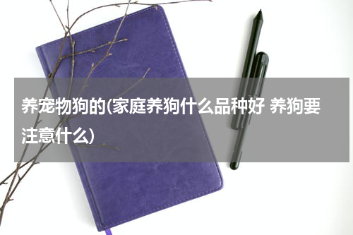 养宠物狗的(家庭养狗什么品种好 养狗要注意什么)