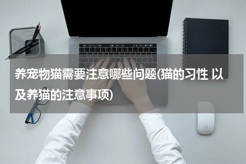 养宠物猫需要注意哪些问题(猫的习性 以及养猫的注意事项)