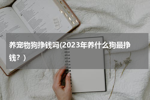 养宠物狗挣钱吗(2023年养什么狗最挣钱?)