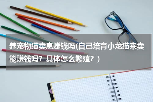 养宠物猫卖崽赚钱吗(自己培育小龙猫来卖能赚钱吗?具体怎么繁殖?)