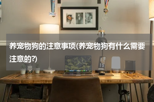 养宠物狗的注意事项(养宠物狗有什么需要注意的?)