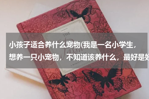 小孩子适合养什么宠物(我是一名小学生,想养一只小宠物,不知道该养什么,最好是好样一点的)