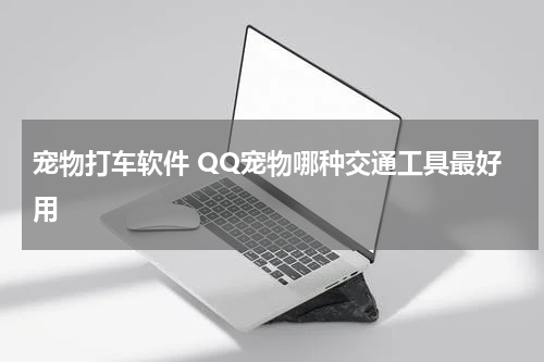 宠物打车软件 QQ宠物哪种交通工具最好用