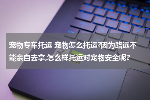 宠物专车托运 宠物怎么托运?因为路远不能亲自去拿,怎么样托运对宠物安全呢?