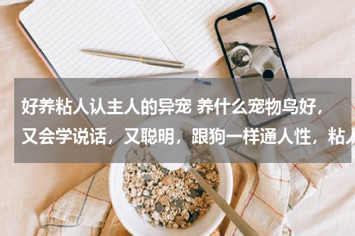 好养粘人认主人的异宠 养什么宠物鸟好，又会学说话，又聪明，跟狗一样通人性，粘人，亲近，认人 总之就是亲近认人，聪明会说